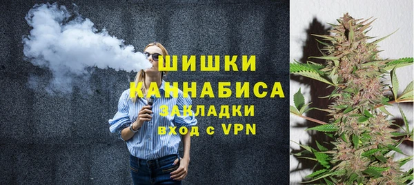 винт Рославль