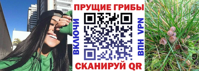 Псилоцибиновые грибы MAGIC MUSHROOMS  Барнаул 